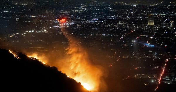 Article on LA fire