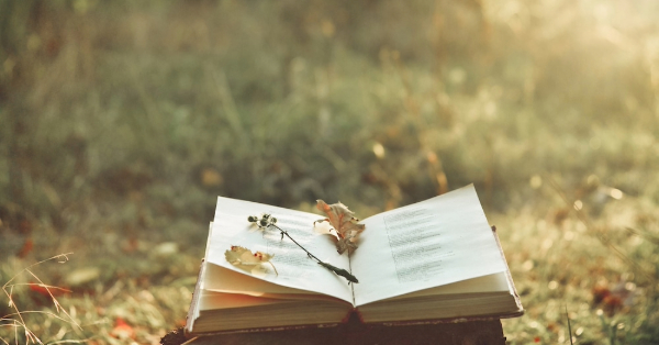 Representative image for World Poetry Day