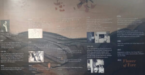 Images of Gopal Ghosh's Exhibition